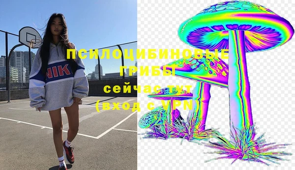 мяу мяу мука Алзамай