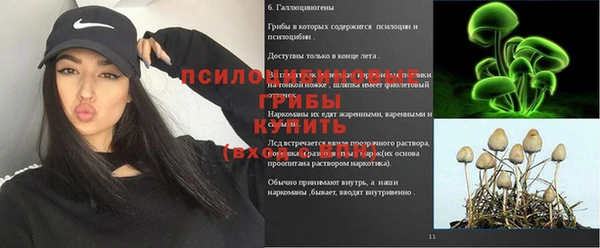 первитин Алексин